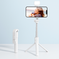 FrameMate™ Creator Tripod Light